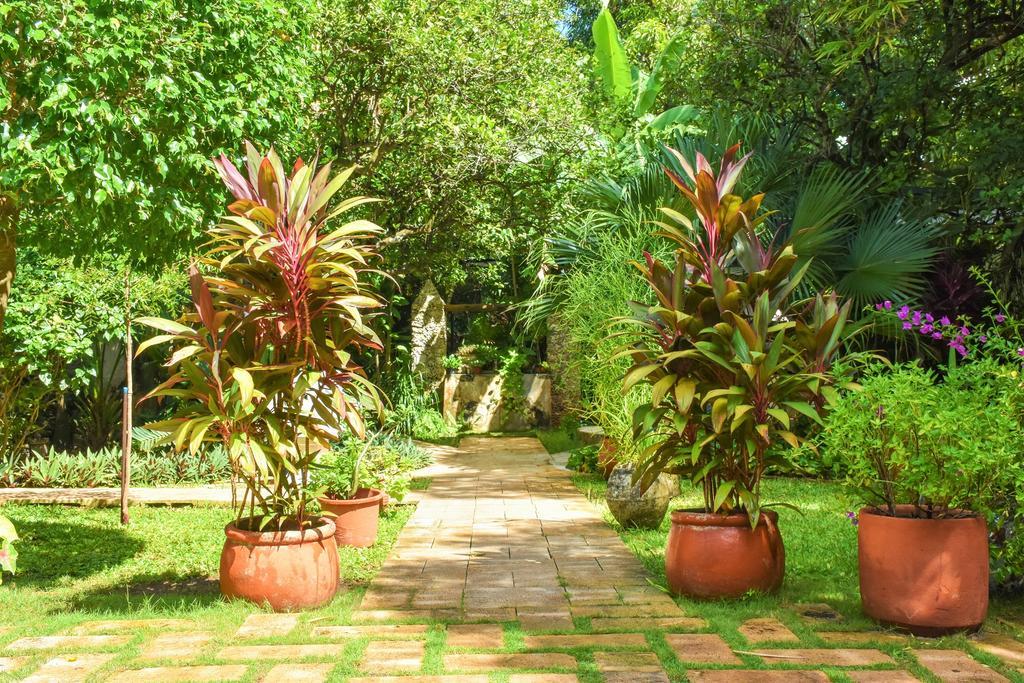 Casa Marlene Hotel Valladolid  Ngoại thất bức ảnh